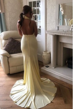 Mermaid Halter Long Prom Dresses Formal Evening Gowns 6011200