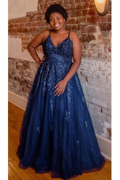 A-Line Lace Appliques Plus Size Long Prom Dresses Formal Evening Gowns 6011298