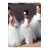 Cute Tulle Flower Girl Dresses 905051
