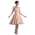 A-Line Strapless Beaded Short Chiffon Bridesmaid Dresses/Wedding Party Dresses BD010065