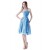 A-Line Strapless Short/Mini Chiffon Bridesmaid Dresses/Wedding Party Dresses BD010078