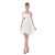 A-Line One-Shoulder Short Chiffon Bridesmaid Dresses/Wedding Party Dresses BD010085