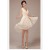 High Low V-Neck Short Chiffon Bridesmaid Dresses/Evening Dresses BD010549