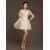 A-Line Short Sleeve V-Neck Tulle Bridesmaid Dresses/Evening Dresses BD010616