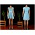A-Line Short Sleeve Blue Chiffon Bridesmaid Dresses/Wedding Party Dresses BD010691