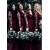 Long Sleeves Lace V-Neck Floor Length Bridesmaid Dresses 3010522