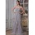 Long Silver Chiffon Prom Evening Formal Party Dresses/Maternity Evening Dresses ED010071