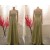 A-Line Strapless Beaded Long Chiffon Prom Evening Formal Dresses ED011464