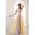A-Line Chiffon Strapless Long Prom/Formal Evening Dresses 02020013