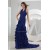 Puddle Train Sleeveless A-Line Chiffon Long Blue Prom/Formal Evening Dresses 02020248