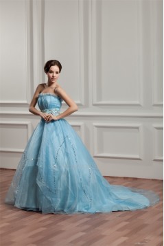 Brush Sweep Train Sleeveless A-Line Strapless Prom/Formal Evening Dresses 02020494