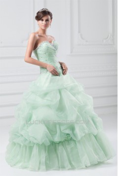 Sleeveless Satin Organza Pick Ups Ball Gown Prom/Formal Evening Dresses 02020896