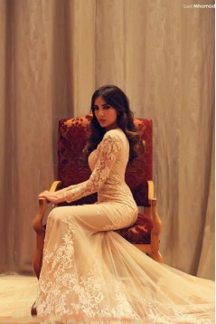 Trumpet/Mermaid Long Sleeves See Through Lace Prom Evening Formal Dresses 3020072