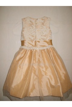 Ball Gown Lace and Tulle Flower Girl Dresses F010029
