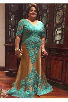 Long Lace and Tulle V-Neck Mother of The Bride Dresses 602139